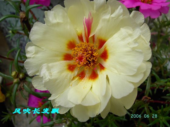 P11����������...