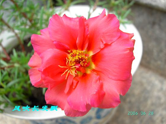 P11����������...