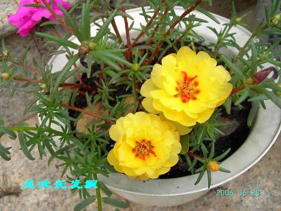 P11����������...