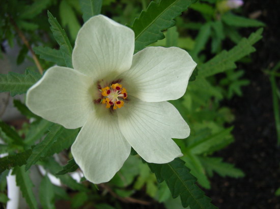 7��2��  ���ģ���������ͳ���  P20  ����   *-*����Ļ�԰*-*