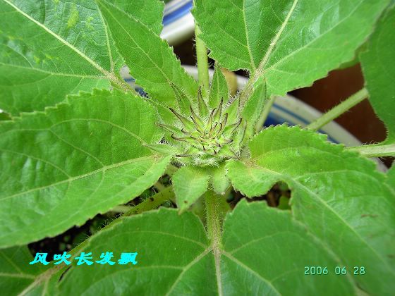 P11����������...