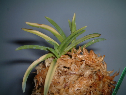 �������L�m....