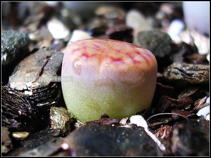 [����]żҲ��PG����������ӭ�����ģ�