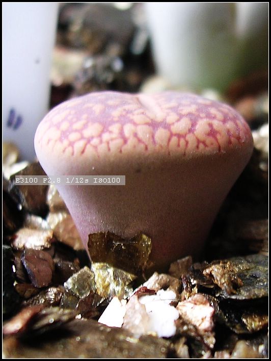 [����]żҲ��PG����������ӭ�����ģ�