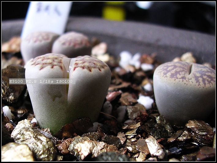 [����]żҲ��PG����������ӭ�����ģ�