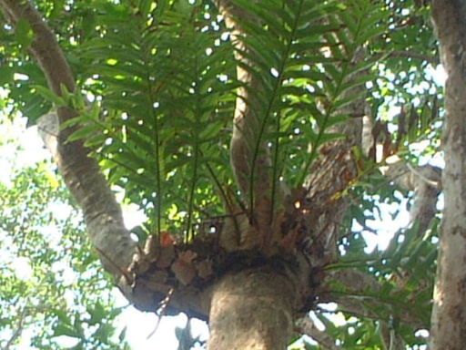 ���N�Nާ������