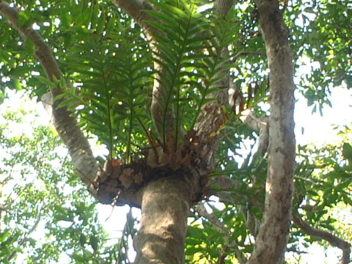 ���N�Nާ������