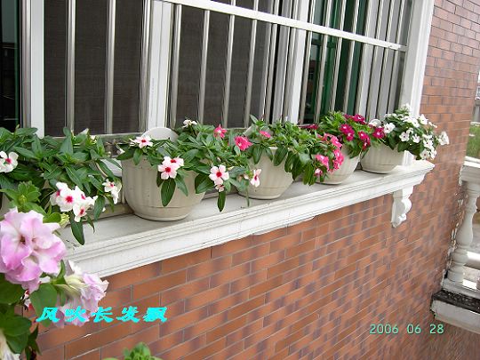 P11����������...