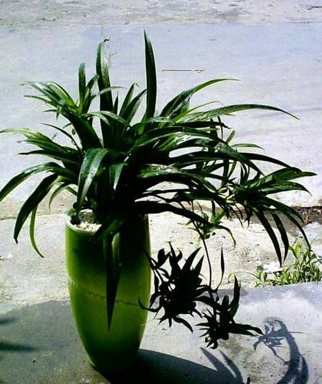 ��ʳ���������û�������(δ�����)