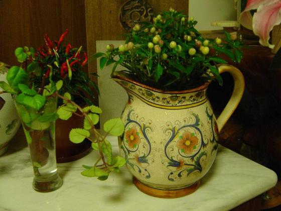 ��ʳ���������û�������(δ�����)