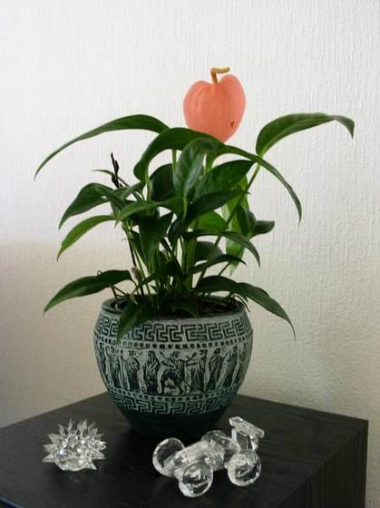 ��ʳ���������û�������(δ�����)