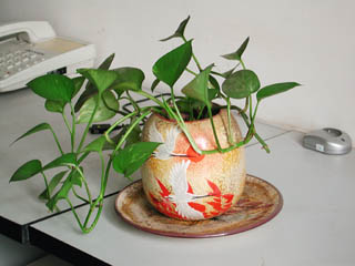 ��ʳ���������û�������(δ�����)