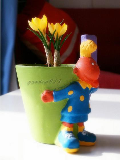 ��ʳ���������û�������(δ�����)