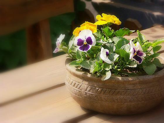 ��ʳ���������û�������(δ�����)