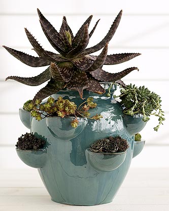 ��ʳ���������û�������(δ�����)