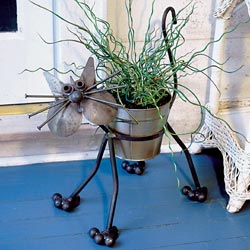 ��ʳ���������û�������(δ�����)