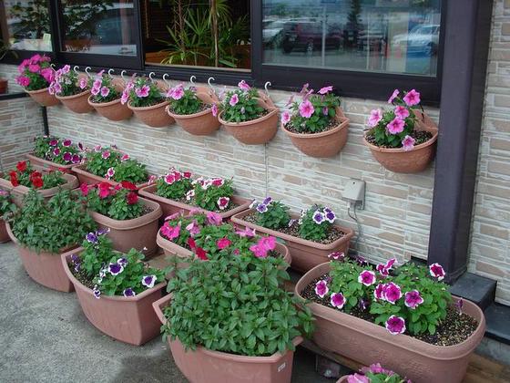 ��ʳ���������û�������(δ�����)