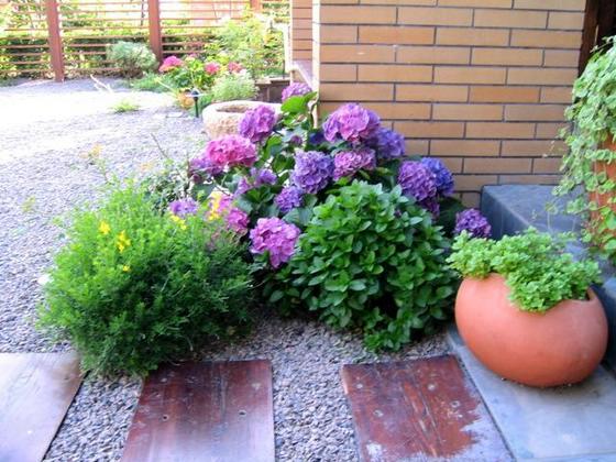 ��ʳ���������û�������(δ�����)