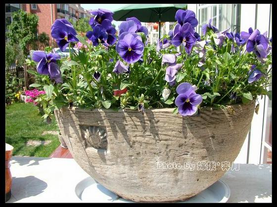 ��ʳ���������û�������(δ�����)