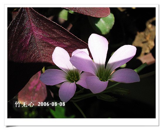 �ȵô�������...hoho,��۹�ţ~