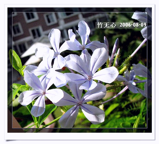 �ȵô�������...hoho,��۹�ţ~