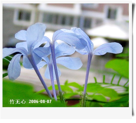 �ȵô�������...hoho,��۹�ţ~