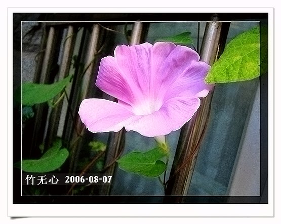 �ȵô�������...hoho,��۹�ţ~