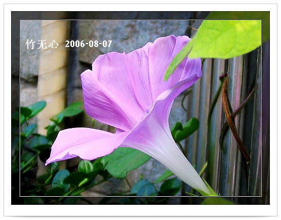 �ȵô�������...hoho,��۹�ţ~