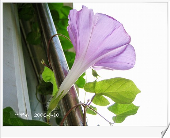 �ȵô�������...hoho,��۹�ţ~