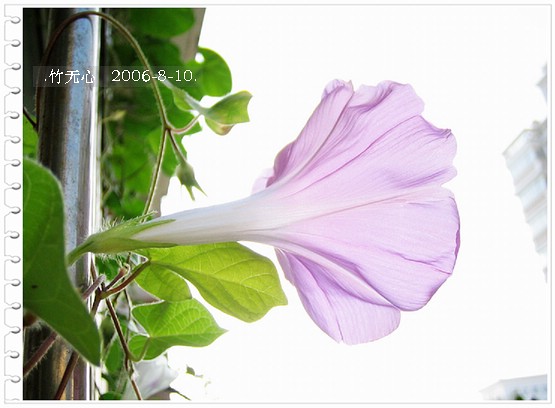 �ȵô�������...hoho,��۹�ţ~