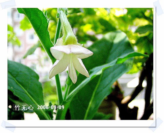 �ȵô�������...hoho,��۹�ţ~