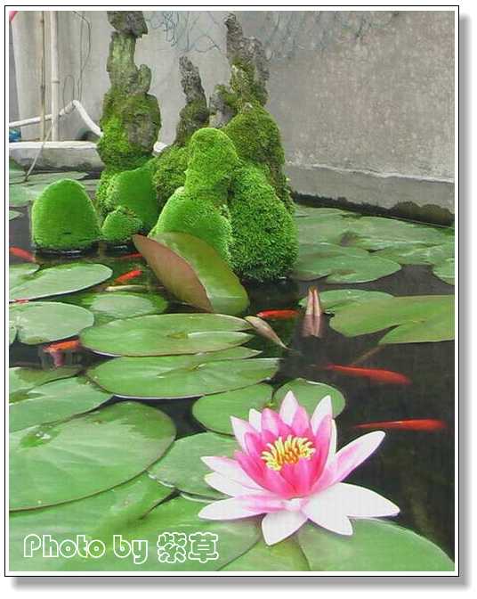 [ԭ��]�ϰ����統��ũ2006��