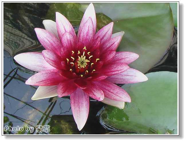 [ԭ��]�ϰ����統��ũ2006��