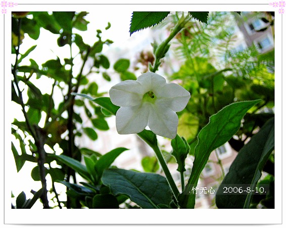 �ȵô�������...hoho,��۹�ţ~