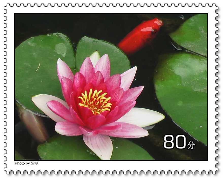 [ԭ��]�ϰ����統��ũ2006��