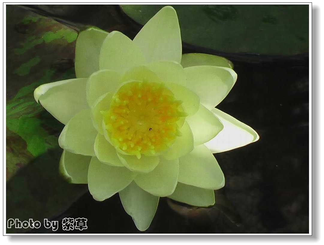 [ԭ��]�ϰ����統��ũ2006��