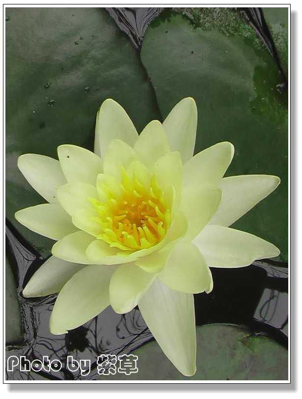 [ԭ��]�ϰ����統��ũ2006��