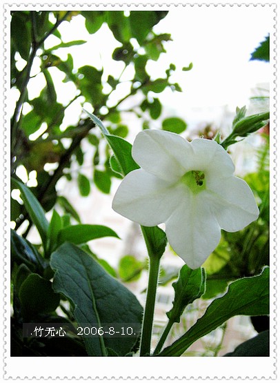 �ȵô�������...hoho,��۹�ţ~