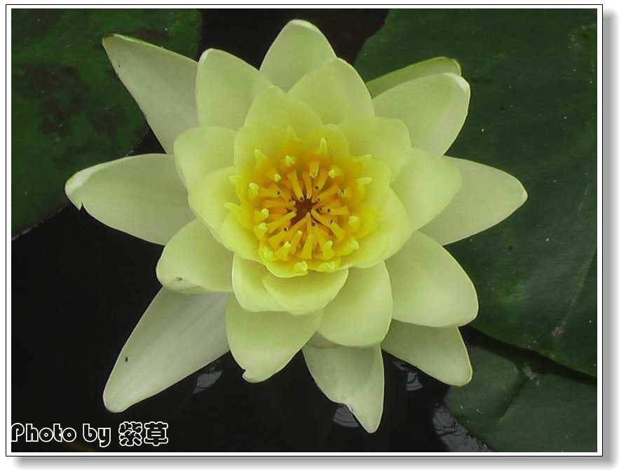 [ԭ��]�ϰ����統��ũ2006��