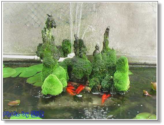 [ԭ��]�ϰ����統��ũ2006��