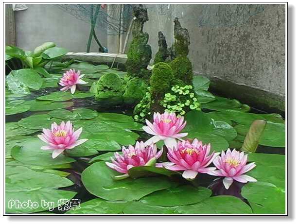 [ԭ��]�ϰ����統��ũ2006��