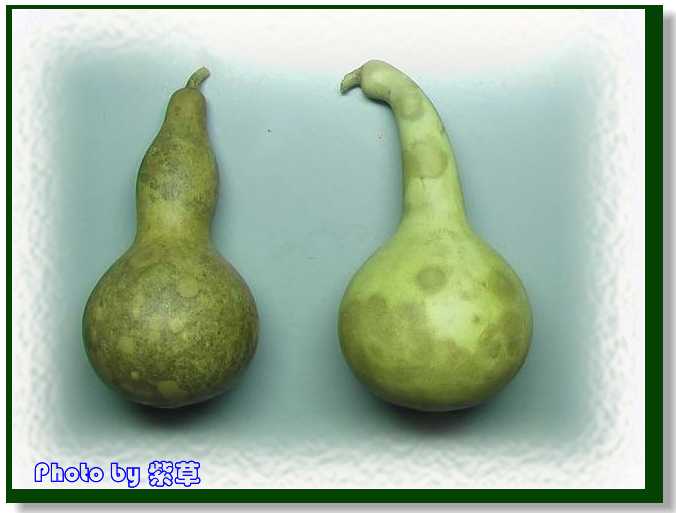 [ԭ��]�ϰ����統��ũ2006��