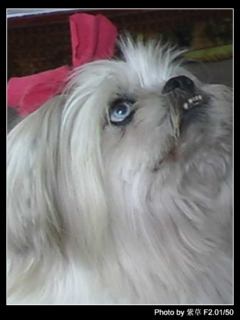 [ԭ��]�ϰ����統��ũ2006��