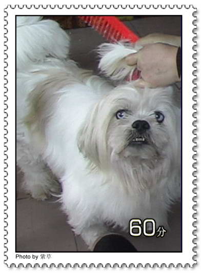 [ԭ��]�ϰ����統��ũ2006��