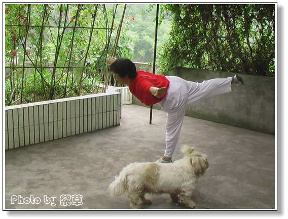 [ԭ��]�ϰ����統��ũ2006��