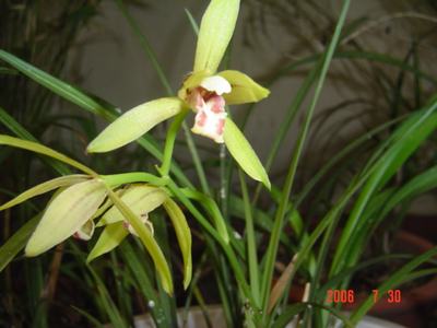 ���ĵĻ�(7ҳ����)