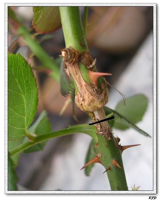 Ǥ���¼��ĺ÷���