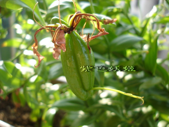 ����������ٺϣ�~����ͼ���