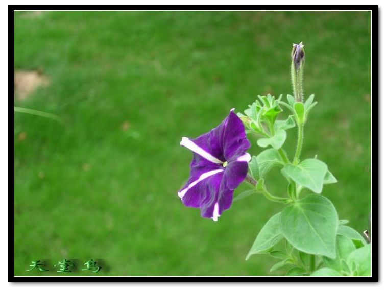 �������Ļ����ã�ɹ��̫����ɹţţ����