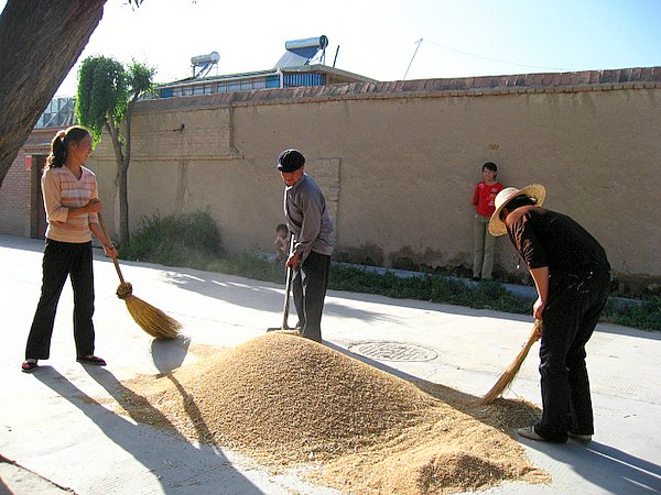 �ຣ��֮��